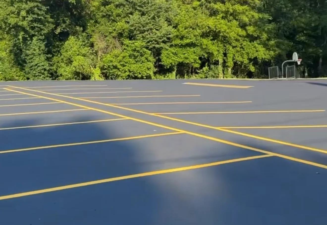 Freshly striped yellow parking stalls on a sealed asphalt lot with pines behind