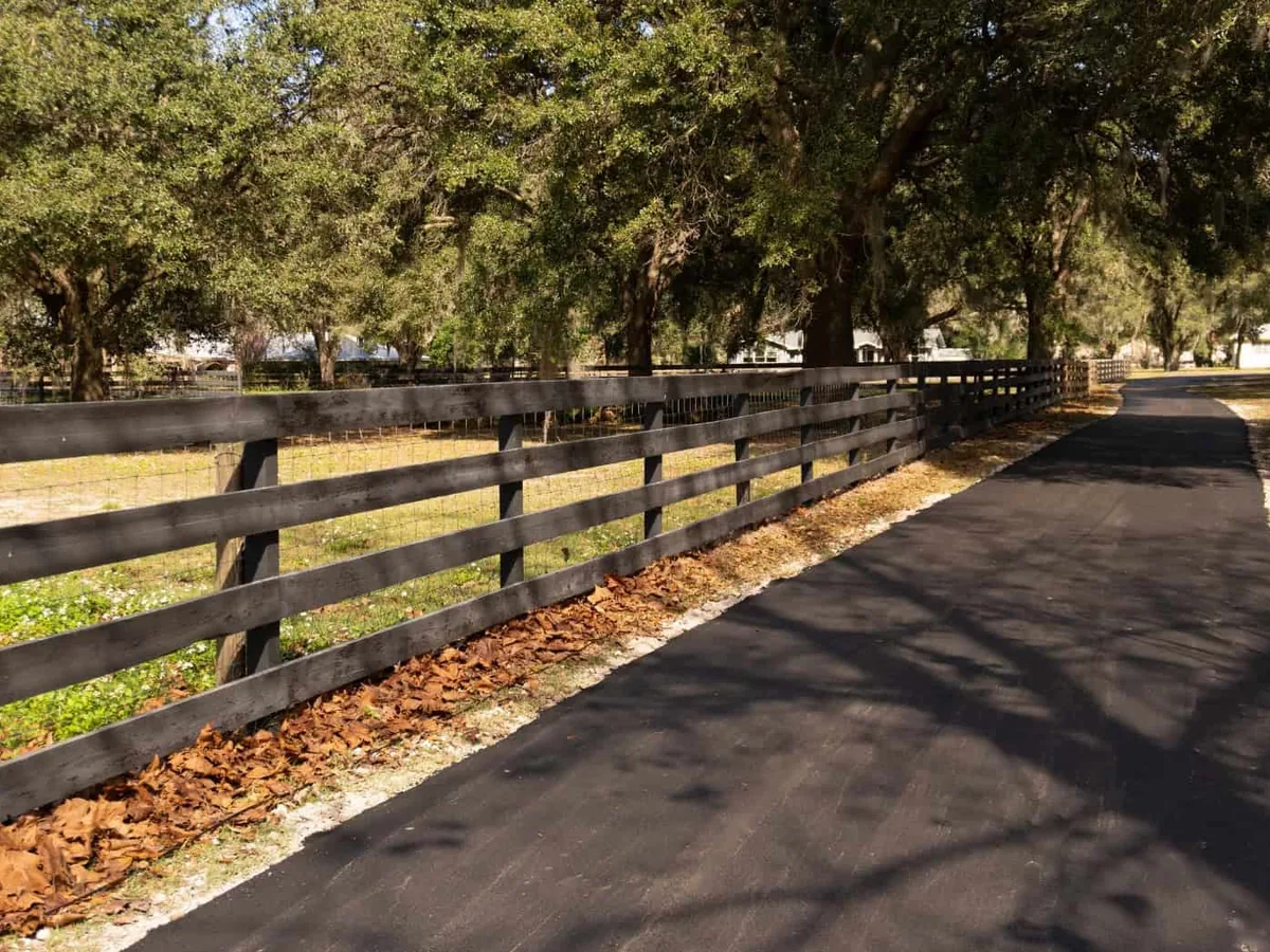 Finished asphalt lane running along a wooden fence under live oaks